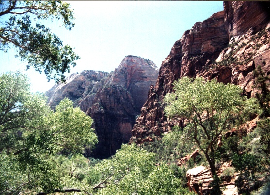 zion7.jpg